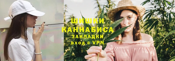 ECSTASY Пересвет