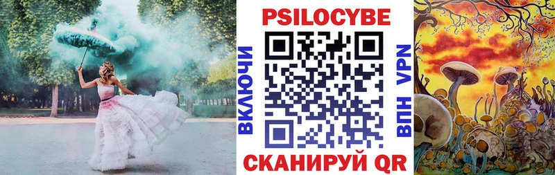 хочу   Красный Сулин  Галлюциногенные грибы мицелий 