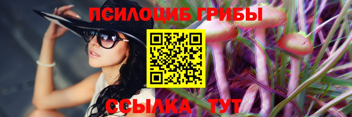 Псилоцибиновые грибы GOLDEN TEACHER Красный Сулин